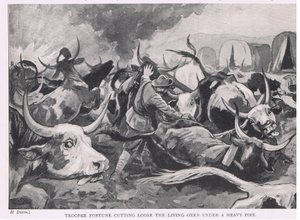 Trooper Fortune Cutting Loose the Living Oxen Under Heavy Fire by H. Dixon